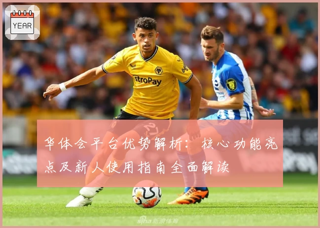华体会平台优势解析：核心功能亮点及新人使用指南全面解读